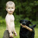 Picture of a three year old boy playing with his dog on a green field